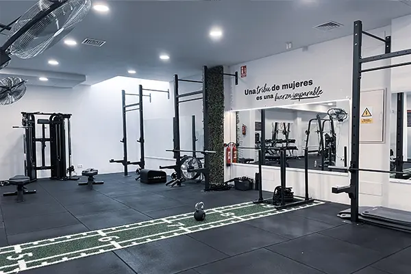 maquinas fitgirls studio 1