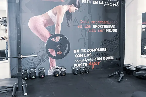 maquinas fitgirls studio 2
